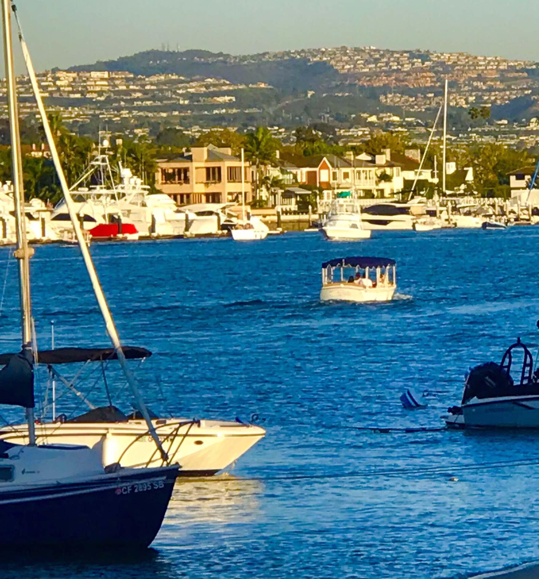 Angels baseball player Mike Trout lives in the hills above Newport Harbor