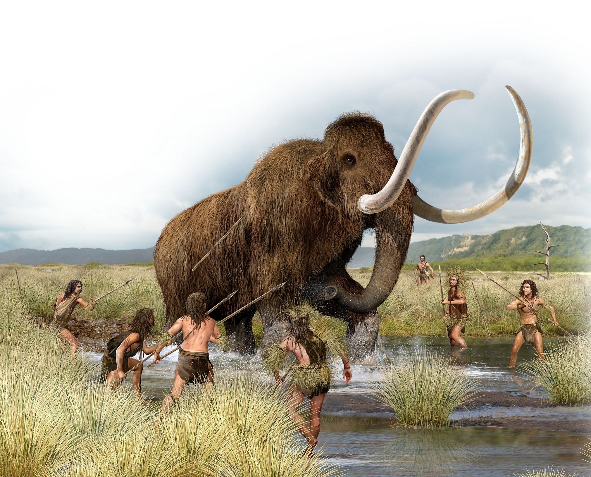 The Oak Grove People hunted Wooly Mammoths thousands of years ago in this area