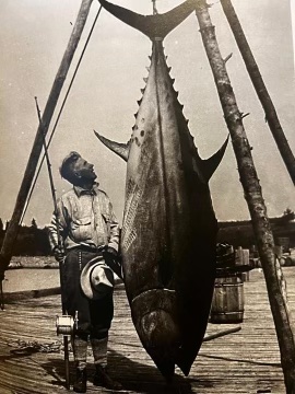  EARLY SPORTFISHING 